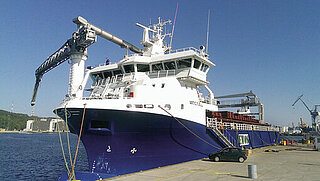 Fish feed weighing at sea