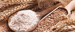 Zdjęcie przedstawia ziarno, mąkę i ziarna zbóż