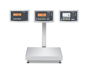 https://www.minebea-intec.com/fileadmin/_processed_/7/9/csm_industrial_scales_1a18bb2f33.png