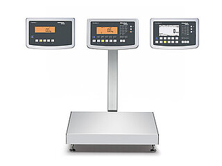 Picture showing the weight indicator series combics