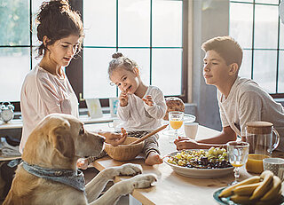 Family feeds dog